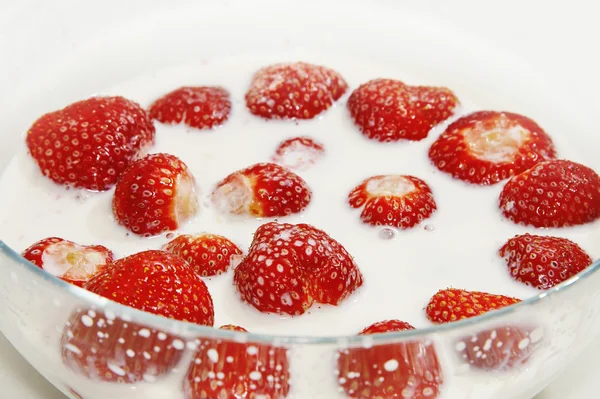 Rijpe aardbeien in de melk — Stockfoto