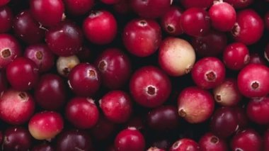 Dönüşümlü kırmızı yaban mersini. Yukarıdan görüntüle.