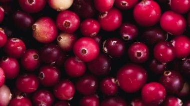 Dönüşümlü kırmızı yaban mersini. Yukarıdan görüntüle.