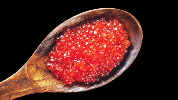 Caviar Rojo Giratorio Sobre Una Cuchara Madera Sobre Fondo Negro — Vídeos de Stock