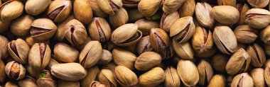 Fıstıklı kabuklu fıstık. Panorama. Geçmişi. Doku.