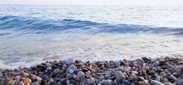 Ondas Mar Claras Sobre Playa Guijarros Vista Lateral — Vídeos de Stock