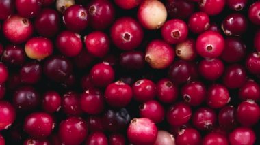 Kırmızı yaban mersini hareketi. Yukarıdan görüntüle.