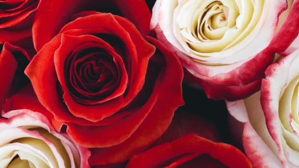 向上移动的一束白玫瑰和红玫瑰 从上面看 — 图库视频影像