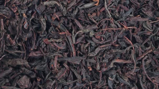 Upward Movement Black Dry Tea Background View — Stock Video