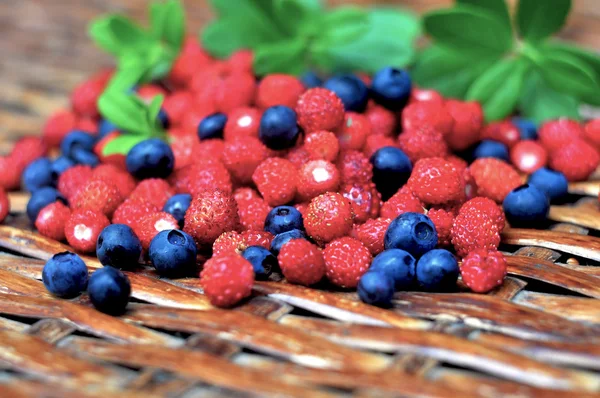 Wild strawberries and blueberries — Stock Photo, Image