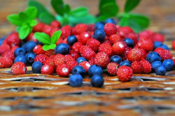 Wild strawberries and blueberries