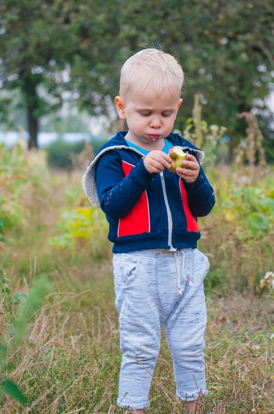 かわいい男の子が村の庭で赤いジューシーなリンゴを食べる — ストック写真