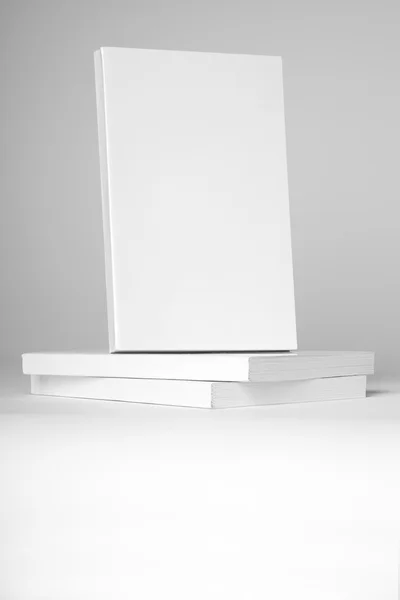 Kitap yığını üzerinde Gerçek beyaz kitap