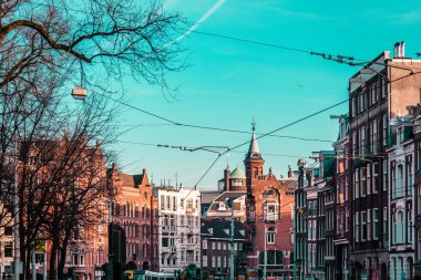 Binalar ve ağaçlar Amsterdam, Hollanda