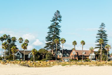 Evler ve Coronado Beach San Diego'da palmiye ağaçları