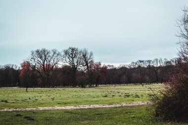 İngiliz Bahçesi Münih, Almanya