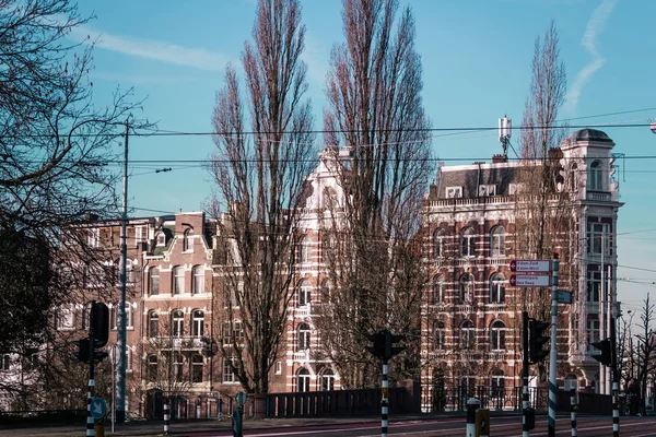 Gebouwen en bomen in Amsterdam, Nederland — Stockfoto