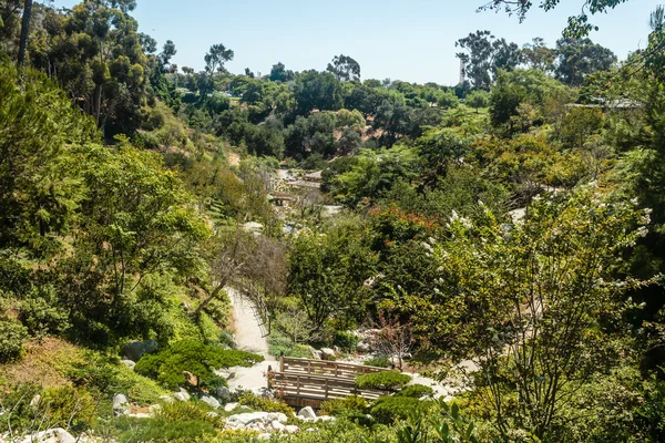 Japanese Garden in San Diego, California — Stock Photo, Image