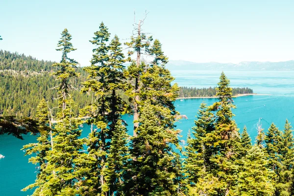 Árvores em frente a Emerald Bay e Lake Tahoe — Fotografia de Stock