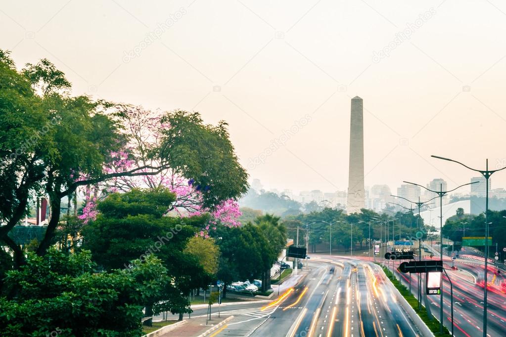 Rainy and Foggy Day at Avenue 23th Of May (Avenida 23 de Maio) i