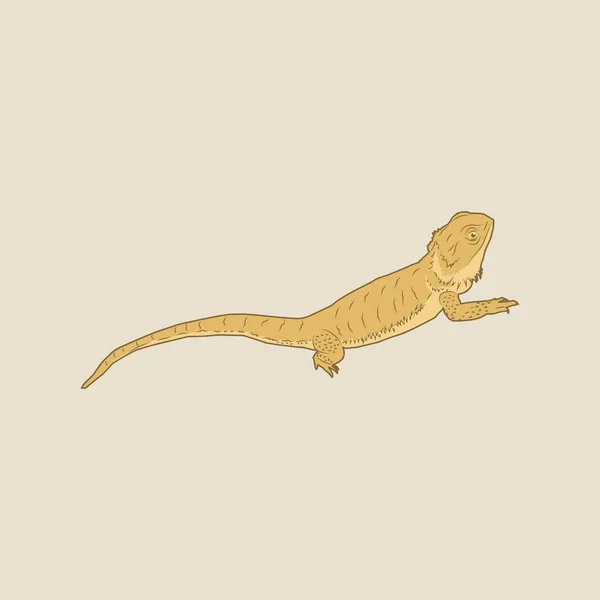 Ilustración Lagarto Marrón Con Cola Larga — Archivo Imágenes Vectoriales