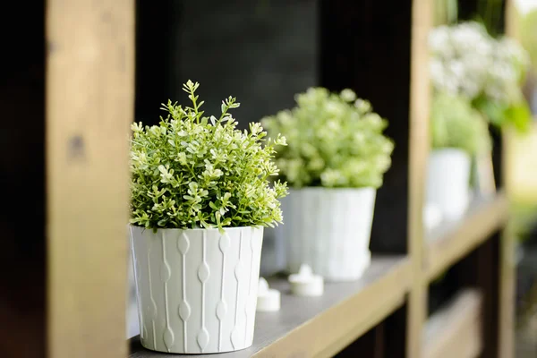 Flores blancas en la mesa de la boda — Foto de Stock