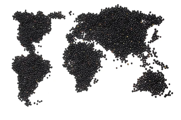 harita siyah mercimek yaptı