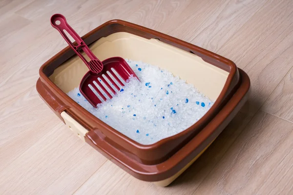 kedinin tuvalet kepçe ile