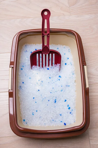 kedinin tuvalet kepçe ile