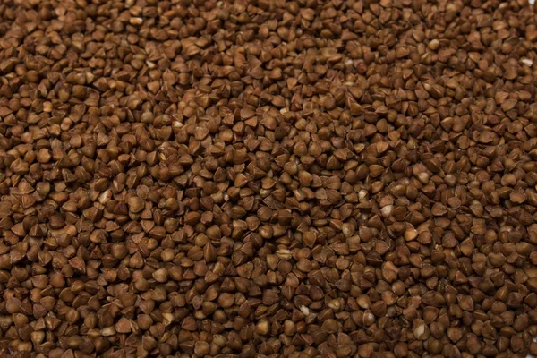 Makro fotoğraf buğday