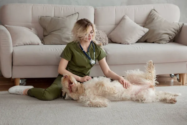 Güzel genç doktor ve köpeği odada.