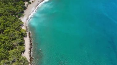 Berrak mavi körfezin verimli orman kıyılarıyla insansız hava aracı görüntüsü.