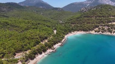 Açık mavi denizin ve ormanlık kıyı şeridinin insansız hava aracı görüntüsü