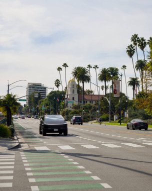 Tesla Cybertruck 27 Kasım 2025 'te Los Angeles' ta Palm Line caddesinde araba kullanıyordu.