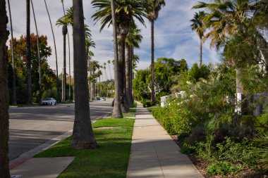 Güneşli bir günde sakin bir mahallede palmiye ağacı sıralanmış kaldırım. Yeşil kentsel yaşam ve yaşam tarzı konseptiyle sakin bir banliyö sokak sahnesi.