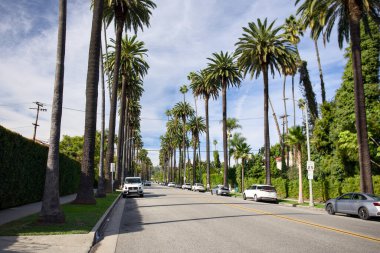 Güneşli bir günde, Kaliforniya 'da arabalarla ve mavi gökyüzüyle kaplı palmiye ağaçları yerleşim yerlerinin olduğu bir cadde. Sakin şehir atmosferli kentsel yaşam tarzı seyahat geçmişi.