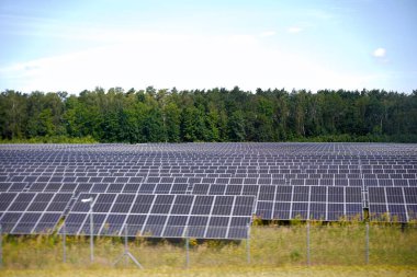 Güneşli bir günde ormanın yakınında fotovoltaik panelleri olan büyük bir güneş enerjisi santrali.