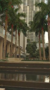Miami şehir merkezindeki modern binaların ve palmiye ağaçlarının manzarası