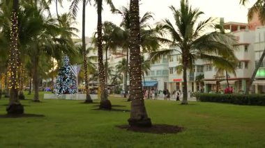 Palmiye ağaçları ve Art Deco binalarıyla süslenmiş Noel ağacı Miami Sahili 29 Aralık 2025