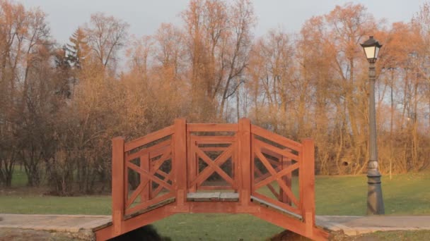 Het meisje gaat op een achtergrond van stadsgezicht en gebouwen — Stockvideo