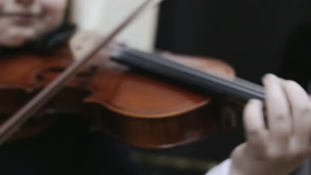 Girl playing violin — Stock Video