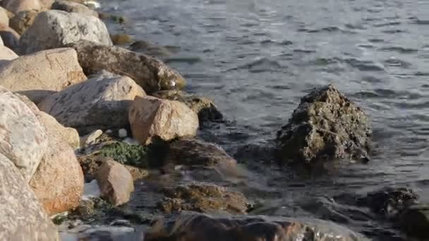 Vlny havárie na skalách na jezeře při západu slunce — Stock video