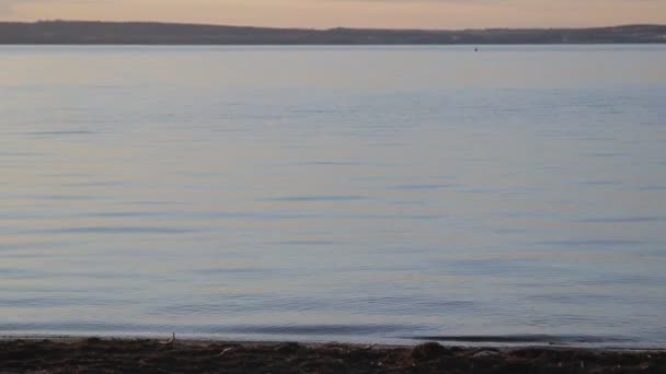 Kleine golven op het strand aan het meer bij zonsondergang — Stockvideo