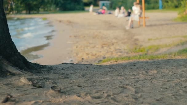 Mujer tomando notas en un cuaderno sentado en la costa — Vídeos de Stock