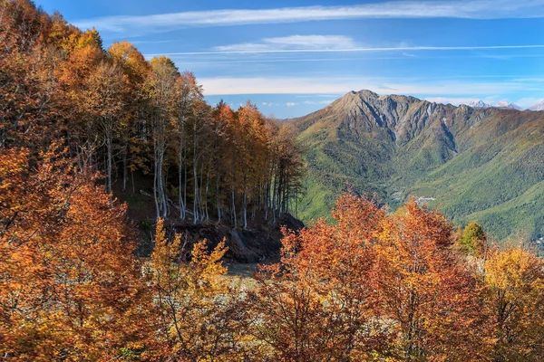 Krasnaya Polyana, Sochi, Rusya 'da sonbahar ormanı ve Achishkho dağ zirvesi. Güzel mavi gökyüzü Cacucasus Dağları 'nın güneşli günü manzarası.