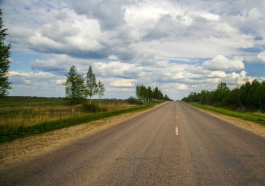 bir ormanda yol asfalt 