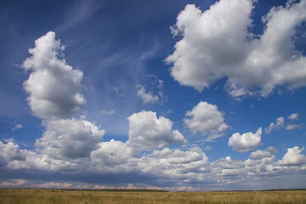 Beautiful countryside landscape — Stock Photo, Image