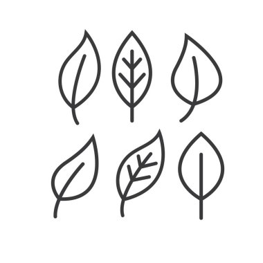 Yaprak çizgisi simgesi vektör tasarım şablonu ağı