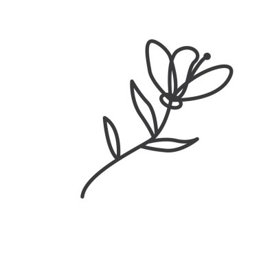 Dekoratif tasarım için çiçek vektör çizgisi ögesi