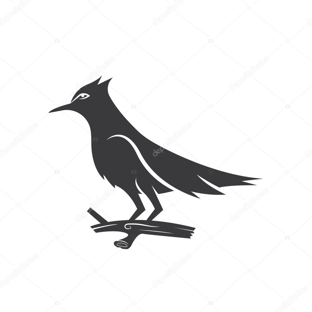 Sooty headed Bulbul bird icon vector illustration concept design template web