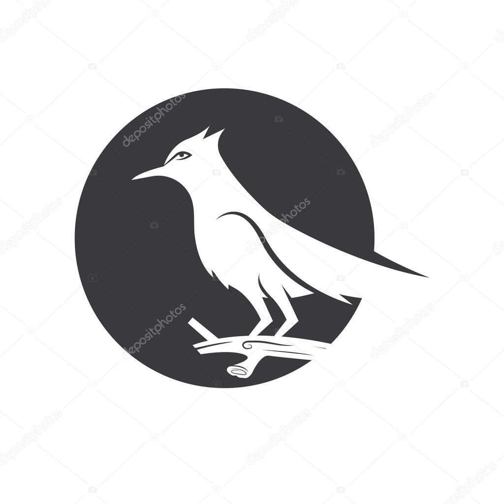 Sooty headed Bulbul bird icon vector illustration concept design template web