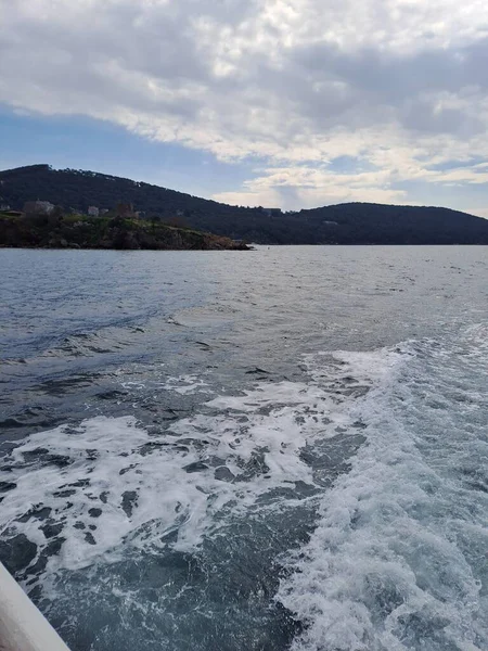 Marmara Denizi 'nin sakin sularıyla çevrili yeşil tepeli ve kıyı evleriyle Prenslerin adalarının manzarası.
