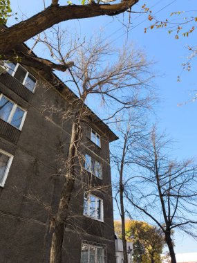 Eski Bina Önü ve Çıplak Ağaç Dalları Parlak Sonbahar Gökyüzüne Karşı