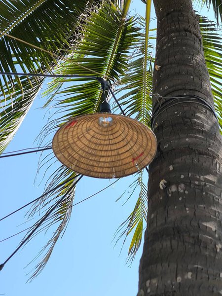 Традиционная тканая шляпа, используемая в качестве светильника на открытом воздухе на пальме